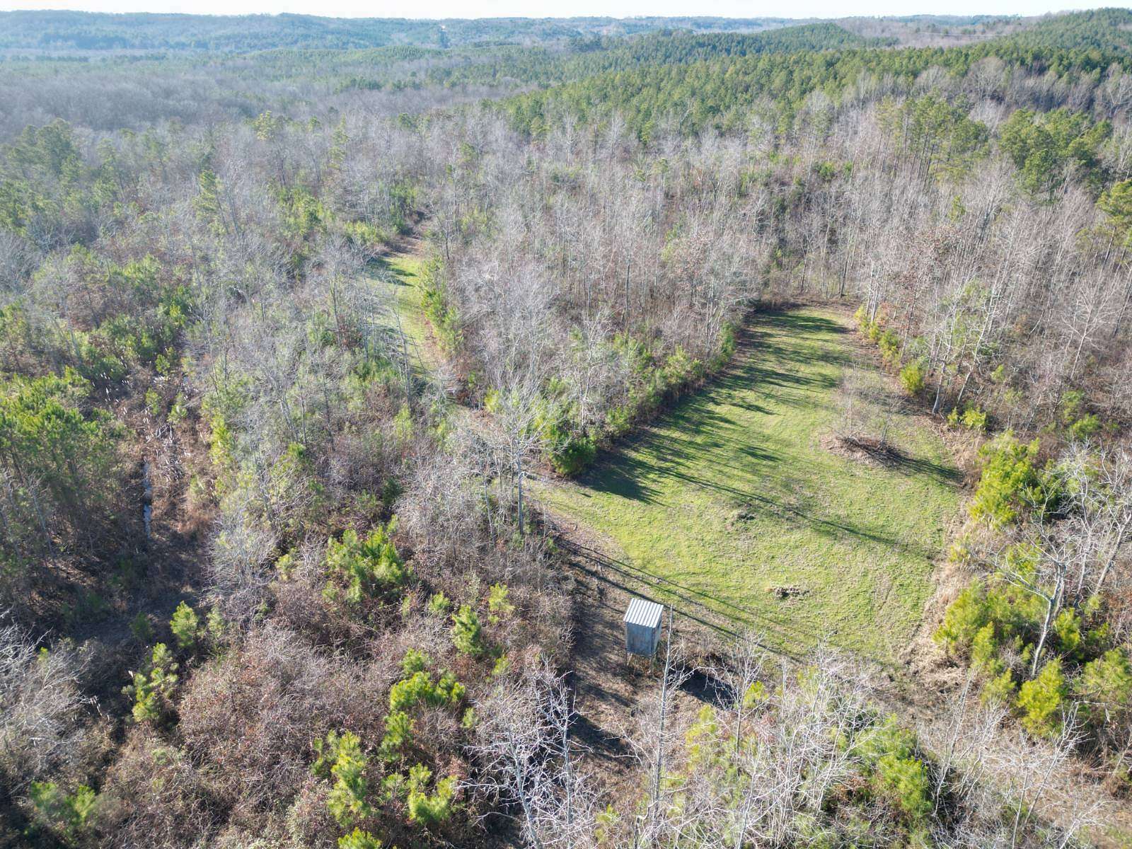 67 Acres of Recreational Land for Sale in Hackleburg, Alabama