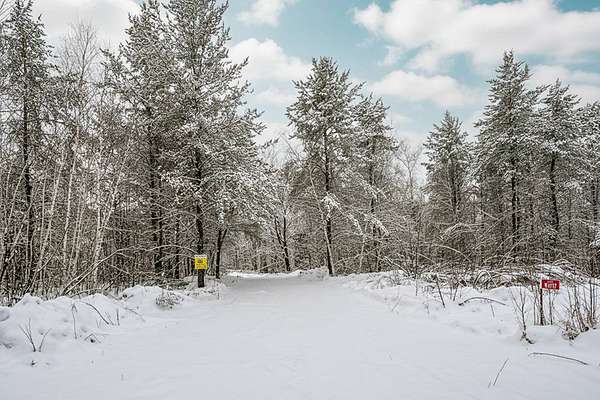 4 Acres of Residential Land for Sale in Trego, Wisconsin