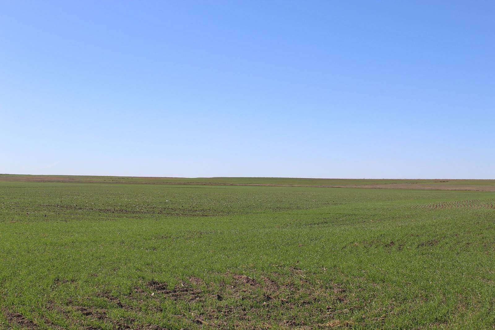 160 Acres of Agricultural Land for Sale in Selden, Kansas