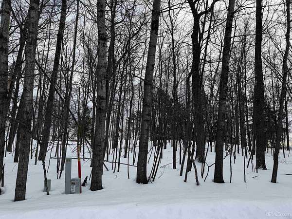 1 Acre of Residential Land for Sale in Gladstone, Michigan