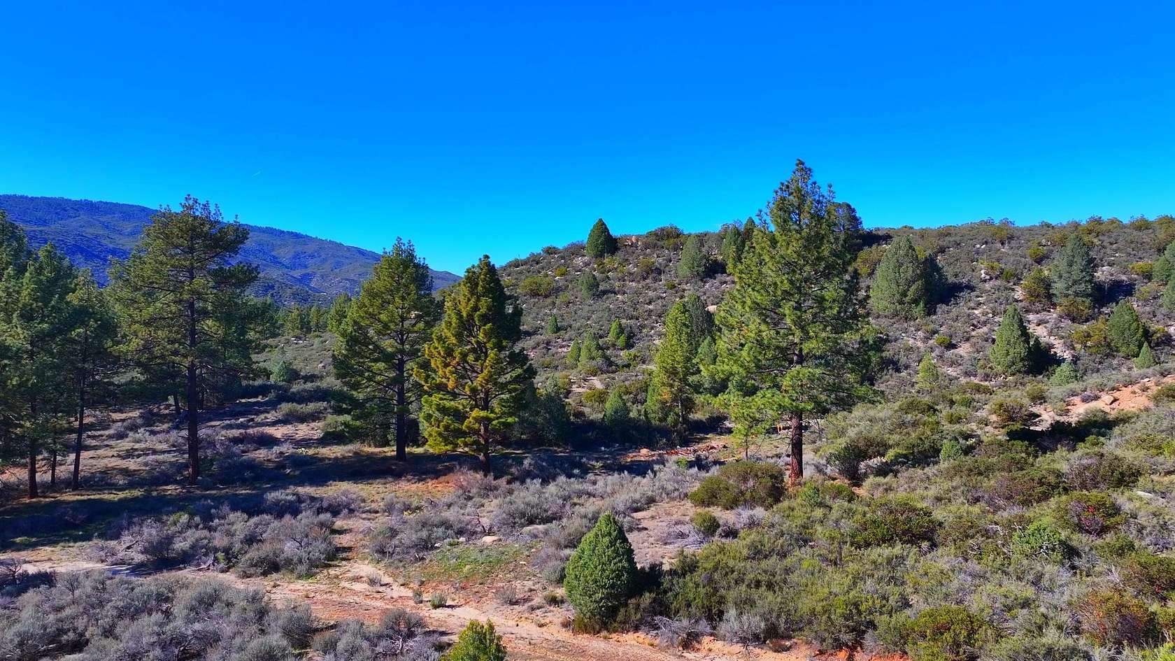 5.33 Acres of Residential Land for Sale in Mountain Center, California