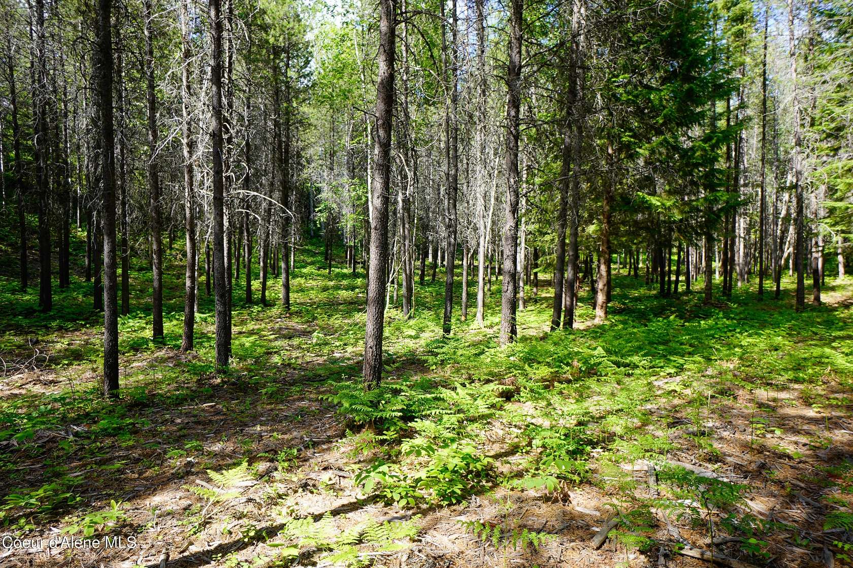 5.14 Acres of Land for Sale in Naples, Idaho