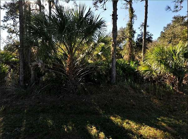 0.23 Acres of Residential Land for Sale in North Port, Florida