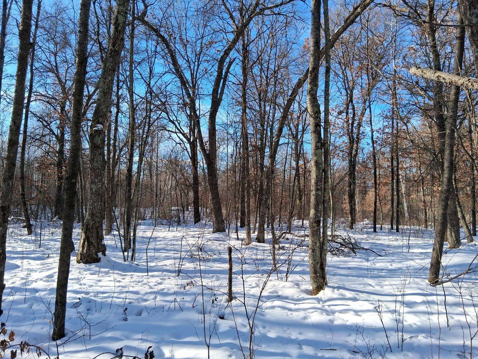 2 Acres of Land for Sale in Trego, Wisconsin