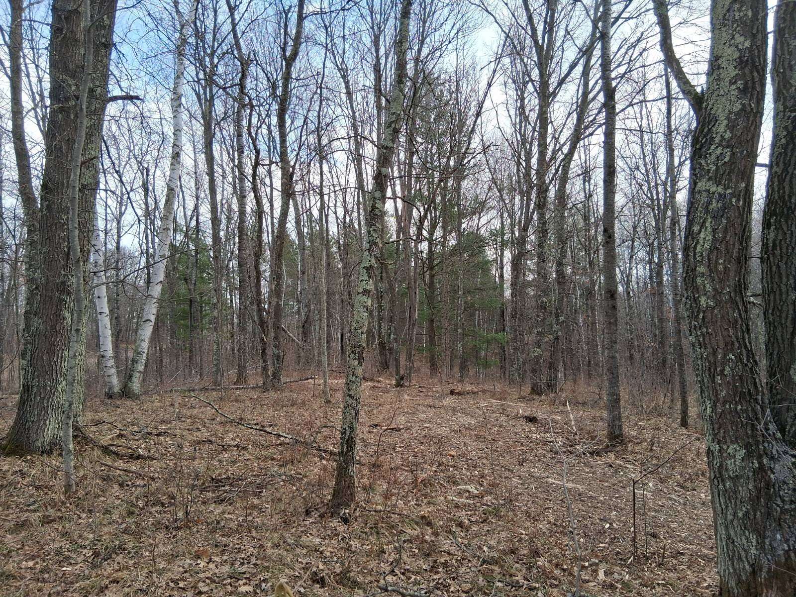 2 Acres of Land for Sale in Trego, Wisconsin