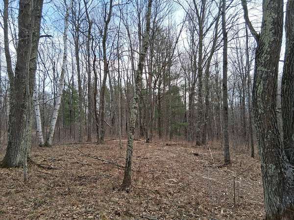 2 Acres of Land for Sale in Trego, Wisconsin