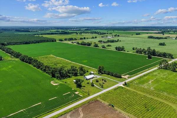10 Acres of Residential Land for Sale in Chiefland, Florida