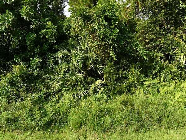 0.27 Acres of Residential Land for Sale in Port St. Lucie, Florida