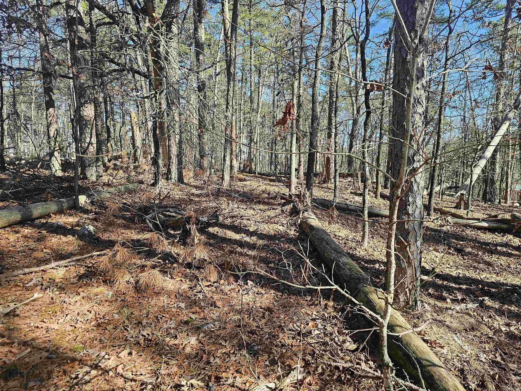 0.24 Acres of Residential Land for Sale in Hot Springs Village, Arkansas