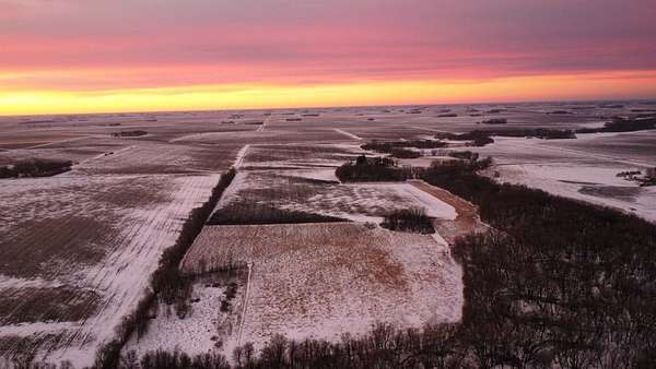 50.3 Acres of Recreational Land & Farm for Sale in Vernon Center, Minnesota