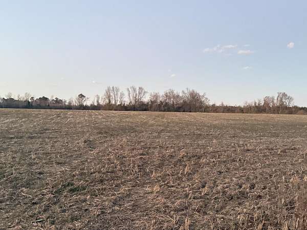 27.4 Acres of Land for Sale in Sumter, South Carolina
