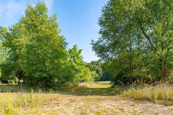 20 Acres of Recreational Land for Sale in Crystal, Michigan