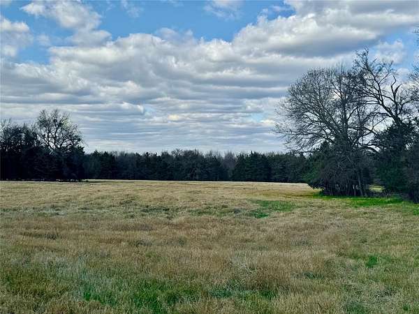 29 Acres of Agricultural Land for Sale in Pickton, Texas