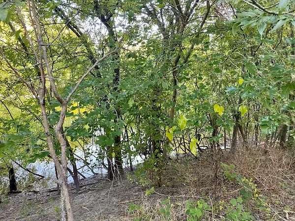 3.61 Acres of Residential Land for Sale in Howe, Texas