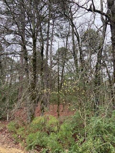 4.17 Acres of Land for Sale in Hawkins, Texas