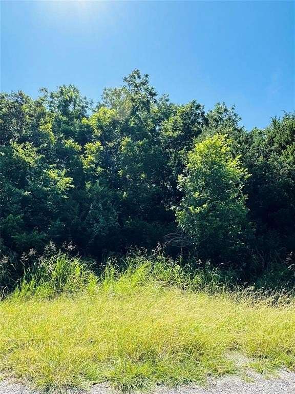 0.22 Acres of Residential Land for Sale in Whitney, Texas