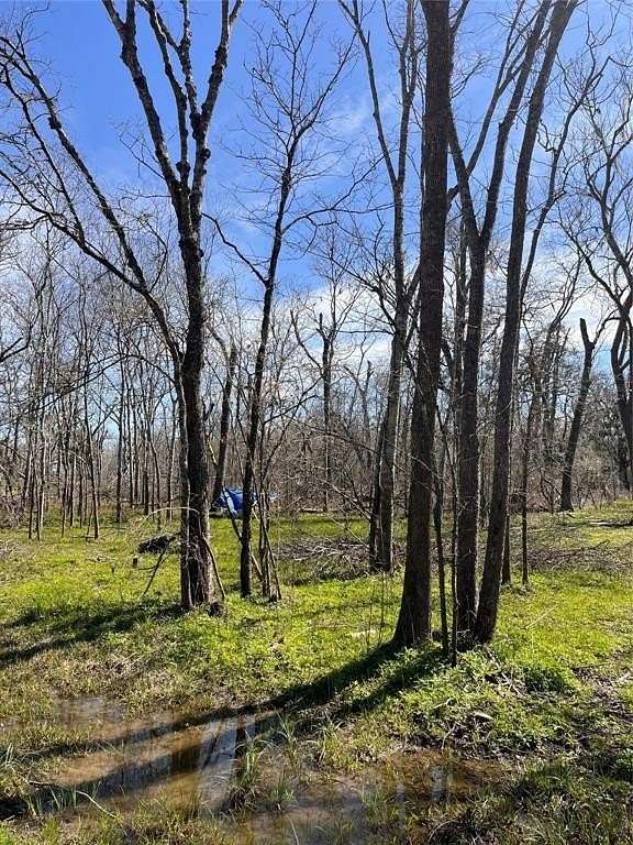 0.13 Acres of Residential Land for Sale in Holiday Lakes, Texas