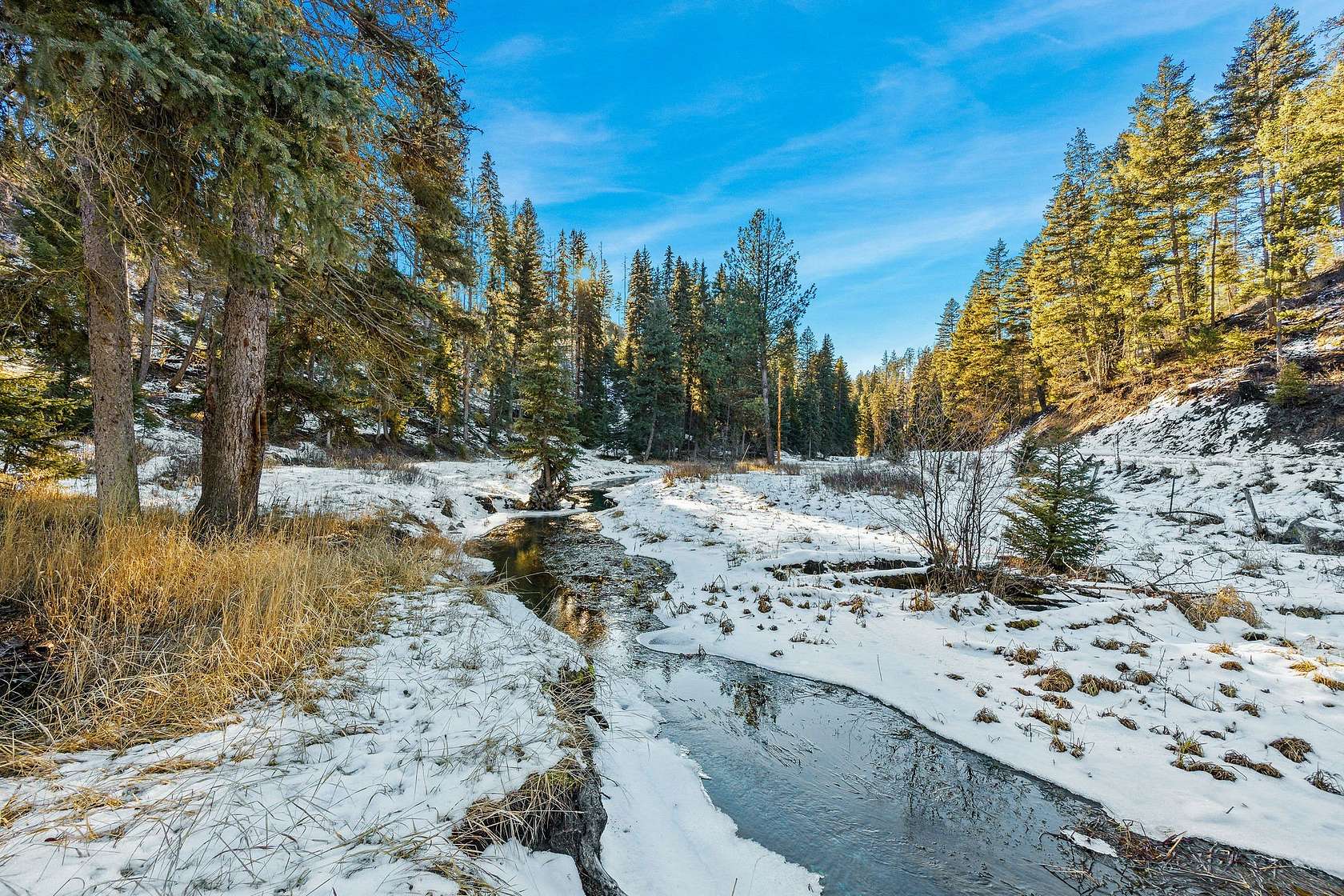 118 Acres of Recreational Land for Sale in Proctor, Montana