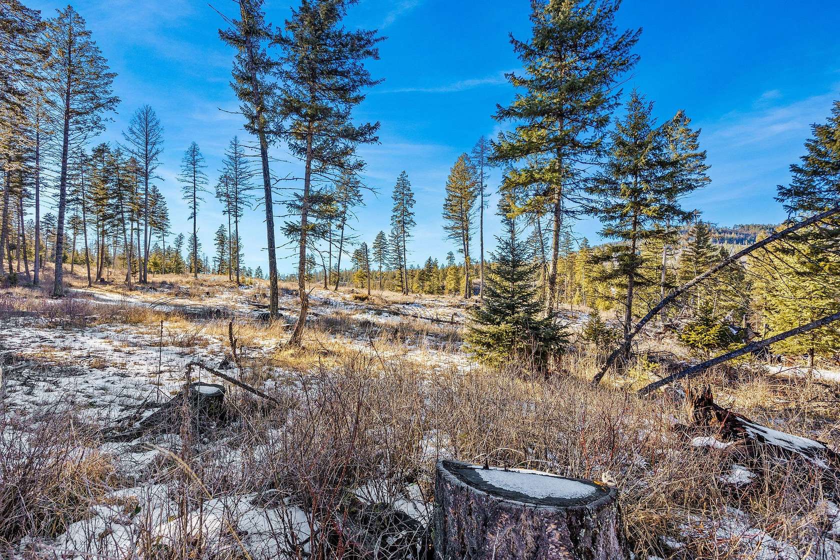 20 Acres of Recreational Land for Sale in Proctor, Montana