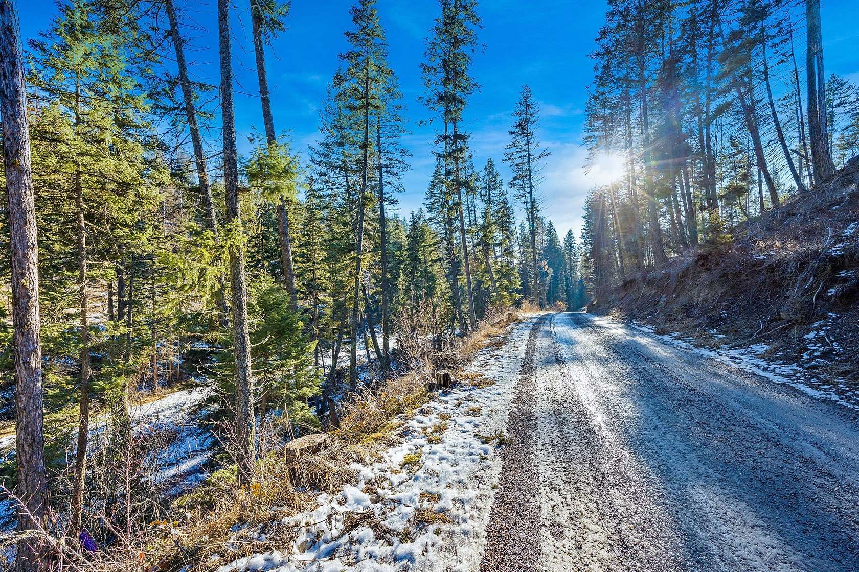 31.3 Acres of Recreational Land for Sale in Proctor, Montana