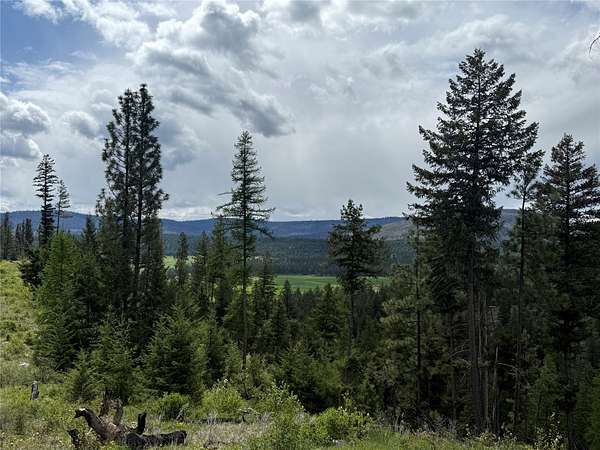 31.3 Acres of Recreational Land for Sale in Proctor, Montana