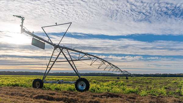 328 Acres of Land for Sale in Camilla, Georgia