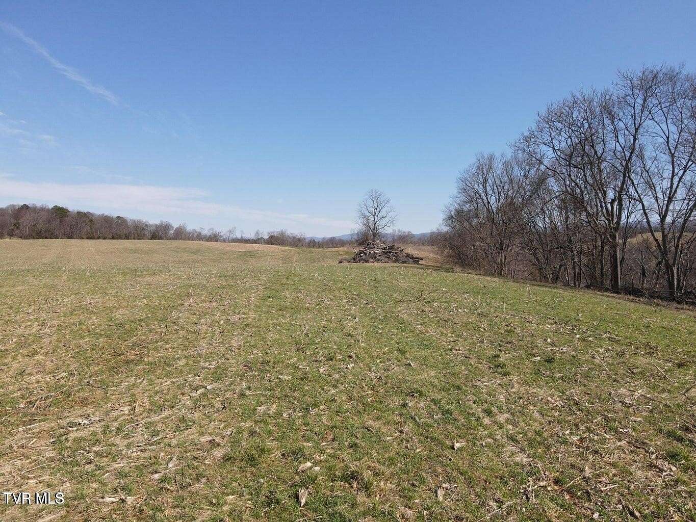 12.4 Acres of Land for Sale in Afton, Tennessee