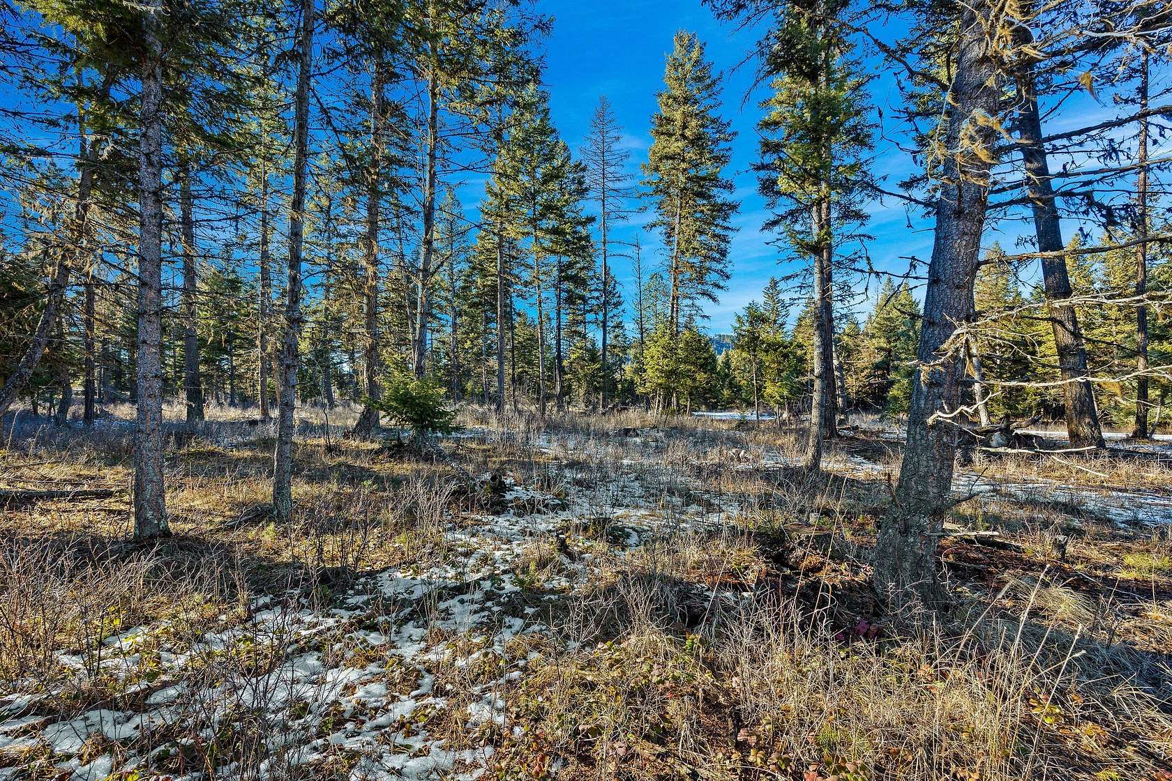 20 Acres of Recreational Land for Sale in Proctor, Montana