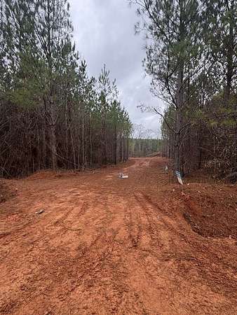 5 Acres of Residential Land for Sale in Gay, Georgia