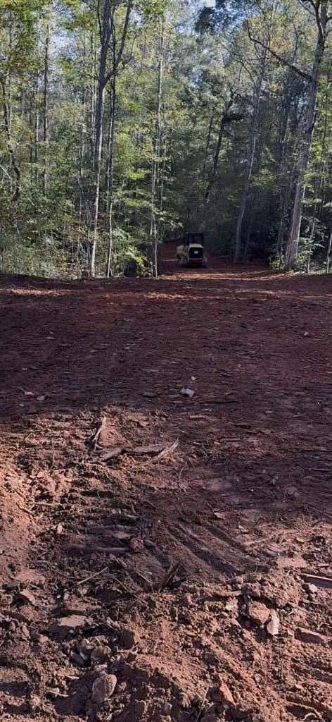 Residential Land for Sale in Luthersville, Georgia