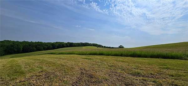 151 Acres of Improved Agricultural Land for Sale in Troupsburg, New York