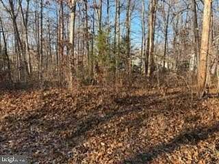 0.25 Acres of Residential Land for Sale in Locust Grove, Virginia