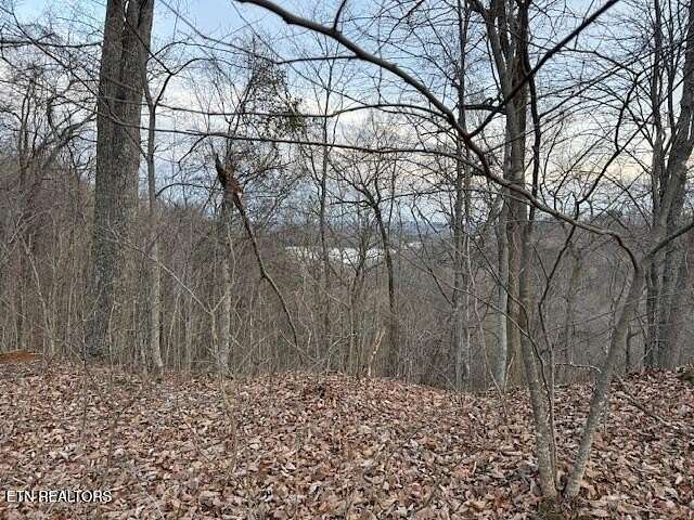 89.3 Acres of Recreational Land for Sale in Madisonville, Tennessee