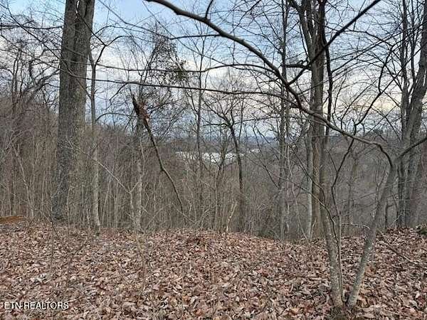 89.3 Acres of Recreational Land for Sale in Madisonville, Tennessee
