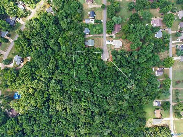 2.1 Acres of Residential Land for Sale in Elkmont, Alabama
