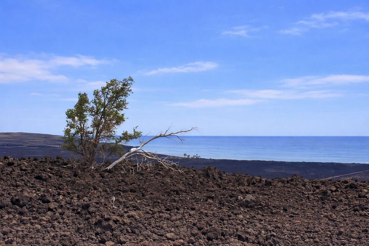 3 Acres of Residential Land for Sale in Hawaiian Ocean View, Hawaii