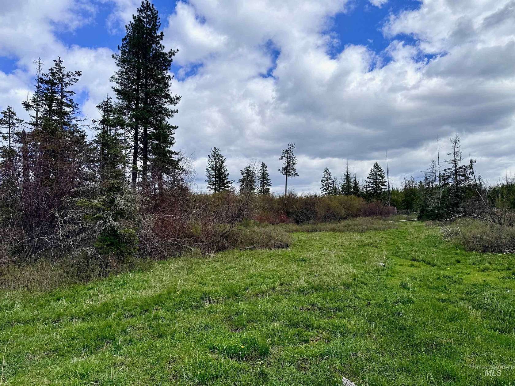 12.7 Acres of Agricultural Land for Sale in Orofino, Idaho