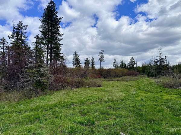12.7 Acres of Agricultural Land for Sale in Orofino, Idaho