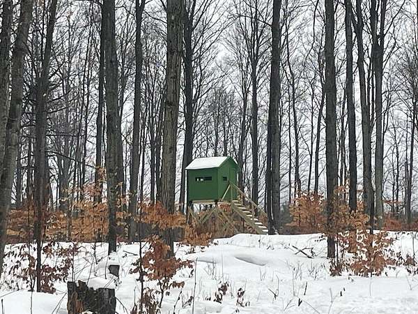 63 Acres of Recreational Land for Sale in Copemish, Michigan