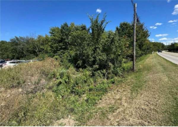 14 Acres of Commercial Land for Sale in Brownhelm, Ohio