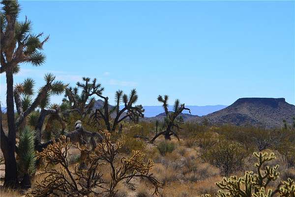 1.1 Acres of Residential Land for Sale in Yucca, Arizona