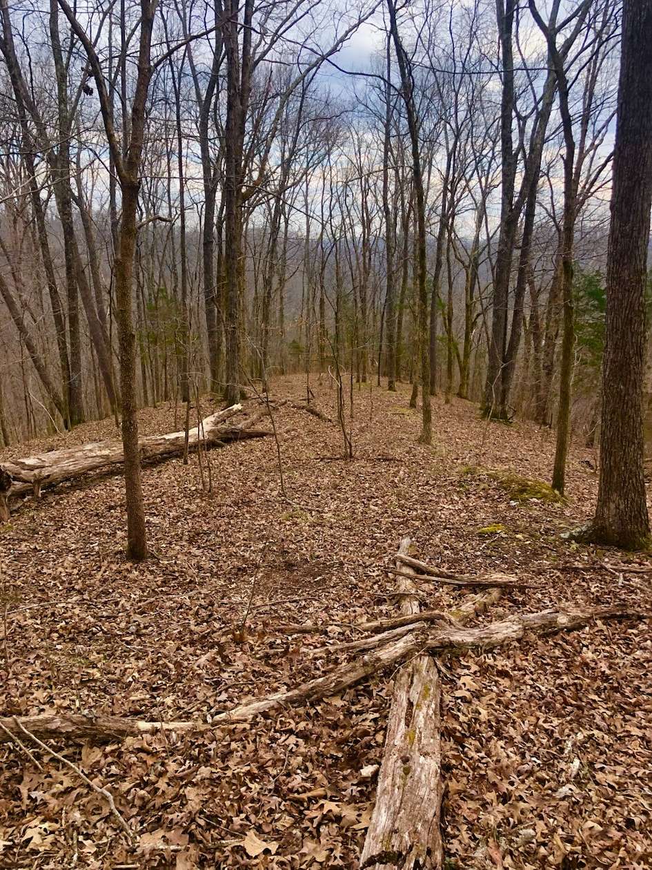 2 Acres of Residential Land for Sale in Whites Creek, Tennessee