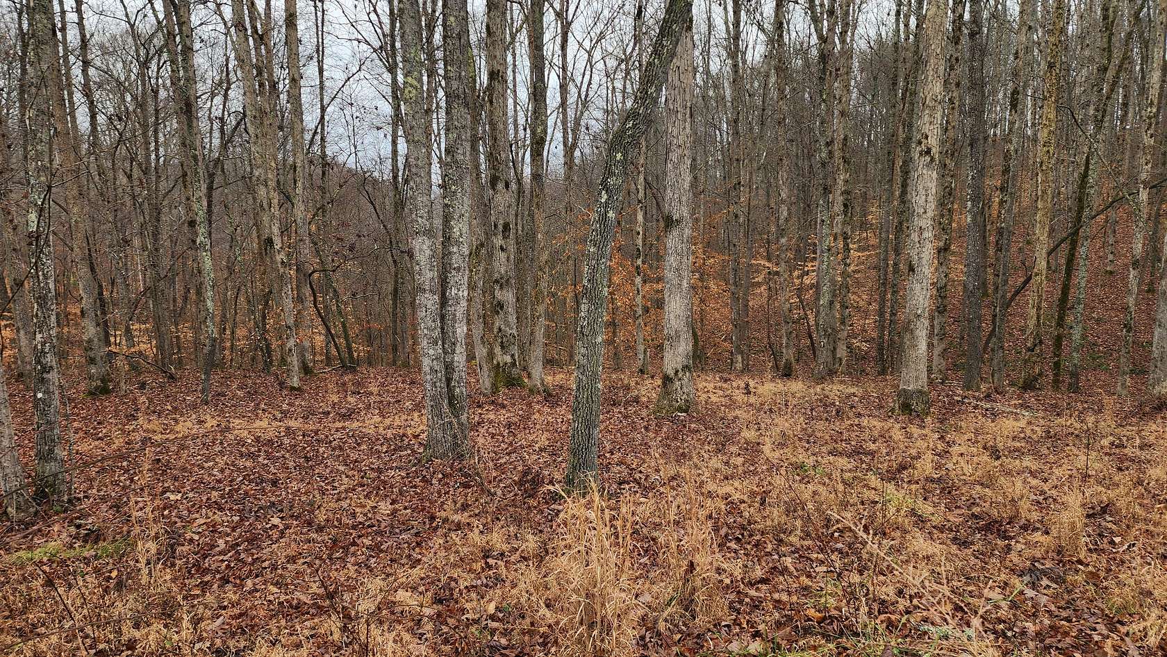 1 Acre of Residential Land for Sale in Sparta, Tennessee