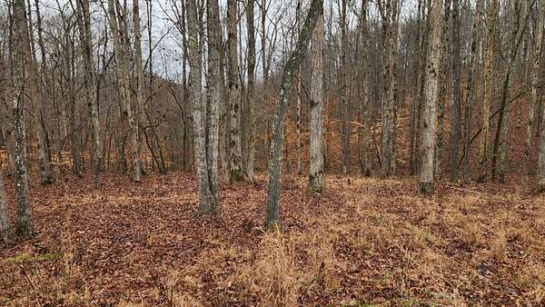 1 Acre of Residential Land for Sale in Sparta, Tennessee