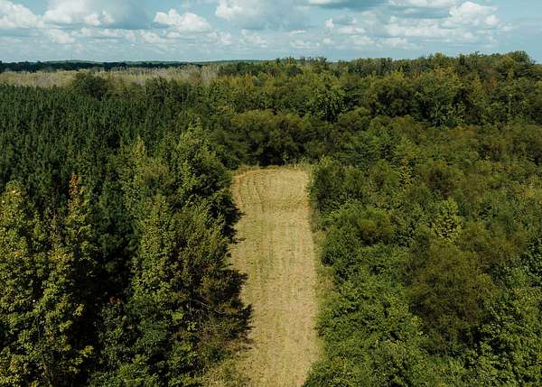 252 Acres of Recreational Land for Sale in Millport, Alabama