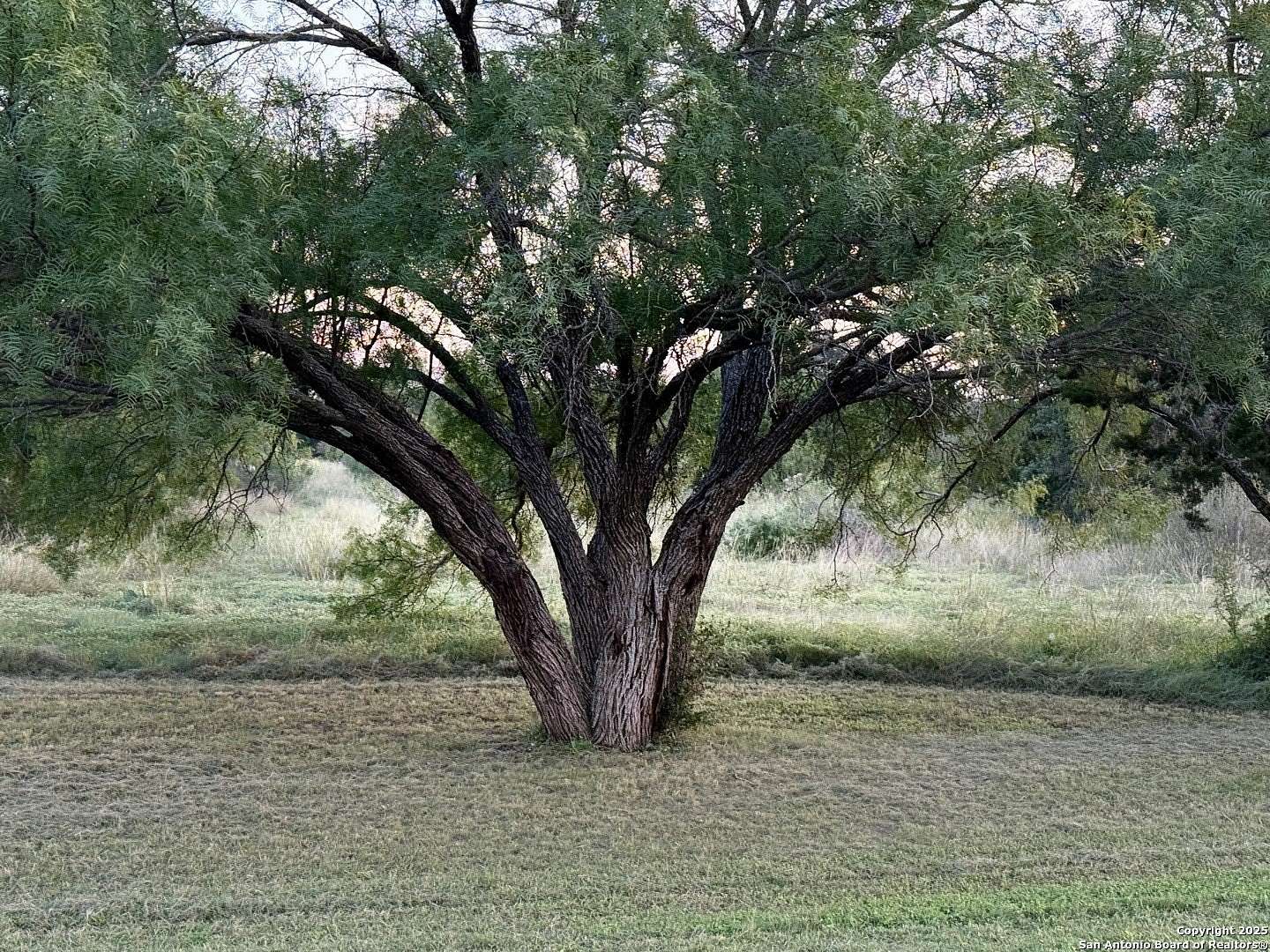 2.64 Acres of Residential Land for Sale in Camp Wood, Texas