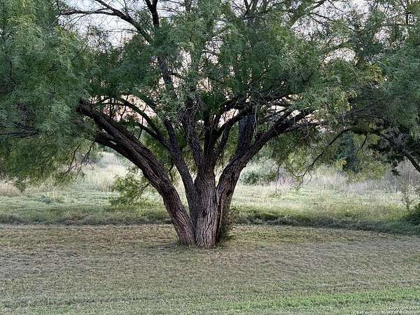 2.64 Acres of Residential Land for Sale in Camp Wood, Texas