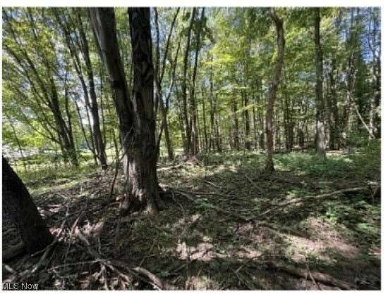 5 Acres of Land for Sale in Brownhelm, Ohio