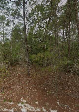 0.23 Acres of Residential Land for Sale in Satsuma, Florida