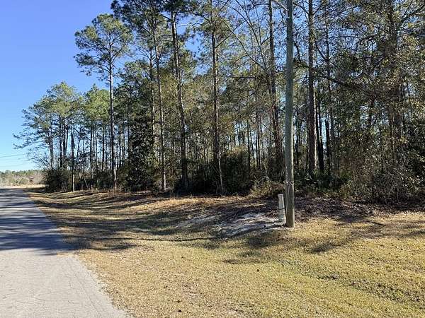 2.68 Acres of Residential Land for Sale in Baxley, Georgia